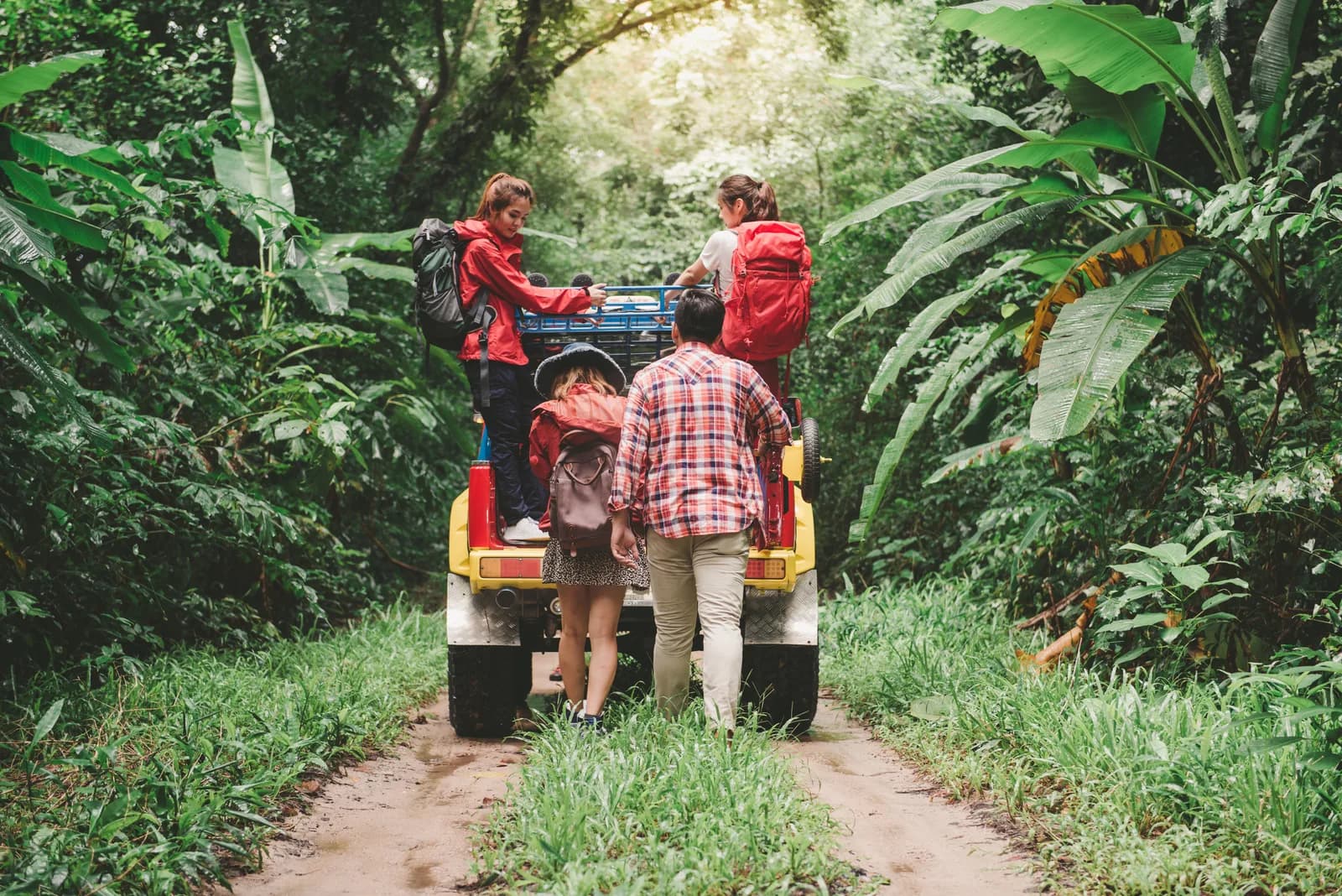 Travellers exploring a lush forest track